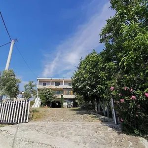 Bora Albania